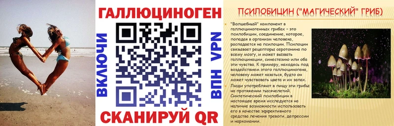 Купить где  Пойковский  Галлюциногенные грибы прущие грибы 